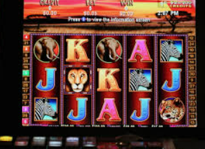 Bwin体育2024最新版